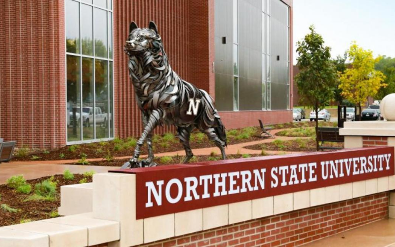 Northern State Medical University